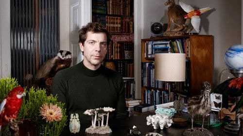 Dr. Nasr's Wunderkammer Bild 1