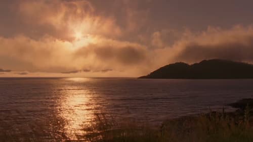 Jäger der Lüfte - Habichte, Bussarde und Adler Bild 1