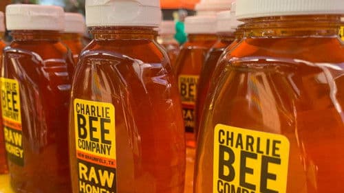 Charlie Bee Company Bild 5