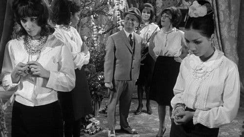 Die Damen lassen bitten Bild 3