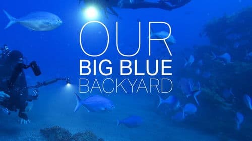 Our Big Blue Backyard Bild 1