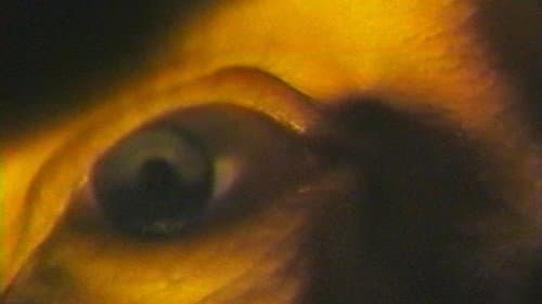 Highway Hypnosis Bild 1