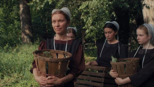 The Harvesting - Die Sonnenwende naht Bild 3