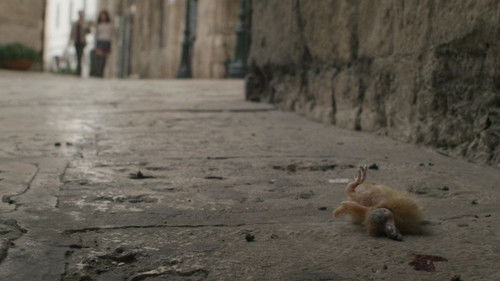 Spring - Love is a Monster Bild 5