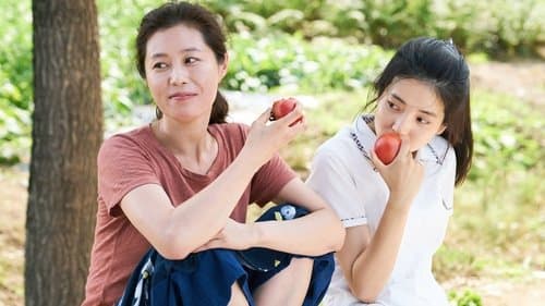 Little Forest Bild 1