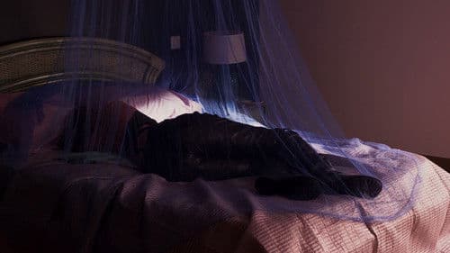 Jessica Forever Bild 2