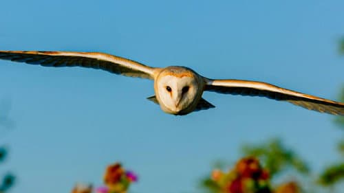 A Countryside Summer Bild 1