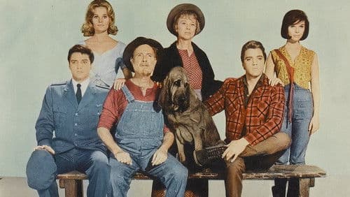 Die wilden Weiber von Tennessee Bild 2