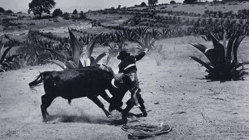Heißer Strand Acapulco Bild 6