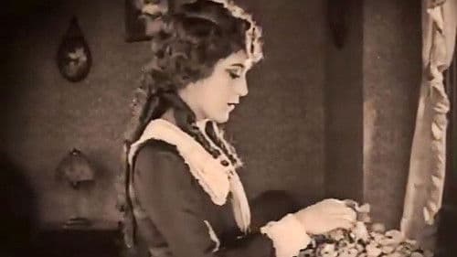 Daddy-Long-Legs Bild 2