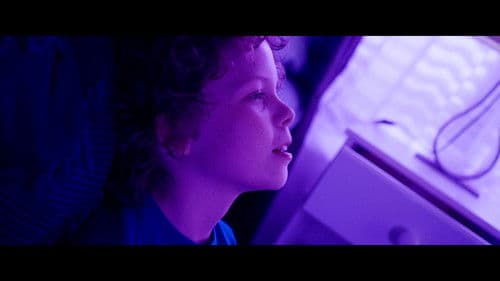 Under the Sun Bild 2