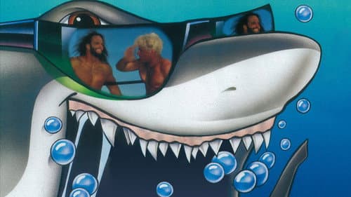 WCW Bash at the Beach 1996 Bild 1