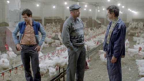 Amintiri din epoca de aur Bild 8