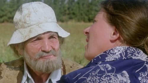 Der Fuchs im Hühnerstall Bild 1