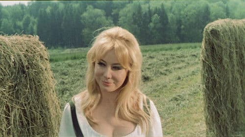 Die Nichten der Frau Oberst Bild 3