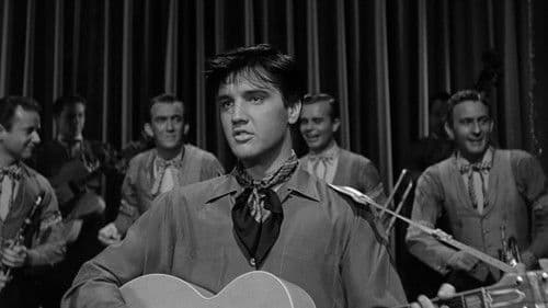 Mein Leben ist der Rhythmus Bild 6