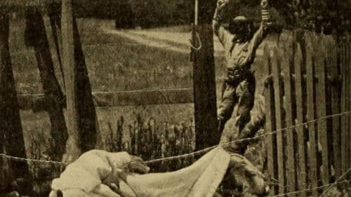 Broncho Bill's Last Spree Bild 1