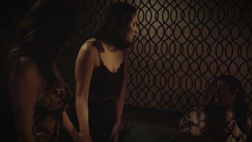 Primary Season 2 Bild 2