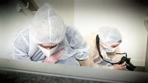 Expert Witness - Forensiker auf Spurensuche Bild 1