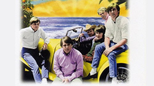 The Beach Boys: Endless Harmony Bild 2