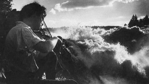 Driver dagg faller regn Bild 6