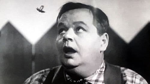 Buzzin' Around Bild 1