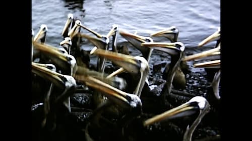 El Perú es un lugar para morir Bild 2