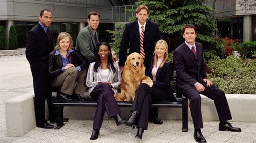 Sue Thomas: F.B.Eye Bild 2