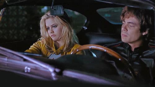 Ärger im Gepäck Bild 4