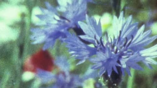 Мої вихідні Bild 3