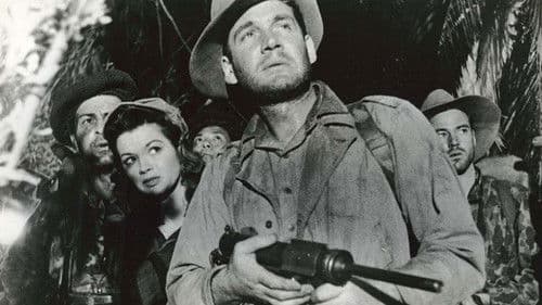 China-Legionär Bild 2