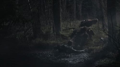 Král Šumavy Bild 8