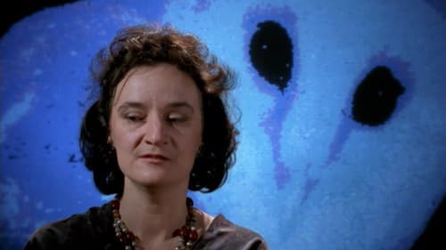 Das Erbe der Eule Bild 3