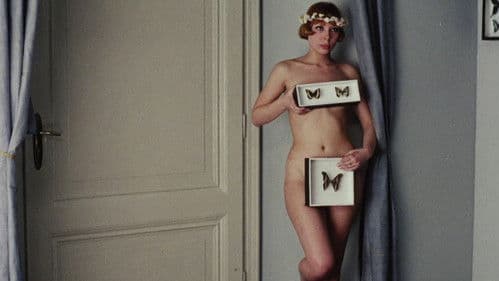 Tausendschönchen Bild 4