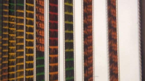 Golden Memories (Petite Histoire of Indonesian Cinema) Bild 2