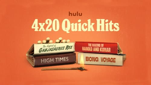 4x20: Quick Hits Bild 1