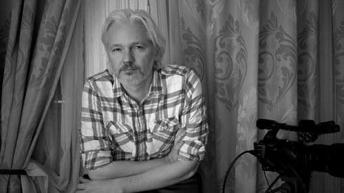 The Trust Fall: Julian Assange Bild 3