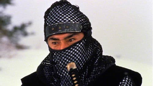 御金蔵破り3 家康の首 Bild 6