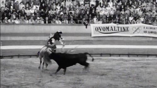 Born to Fight Bild 1