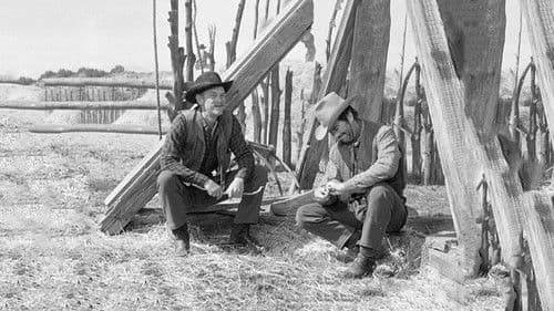 Karawane der Frauen Bild 7