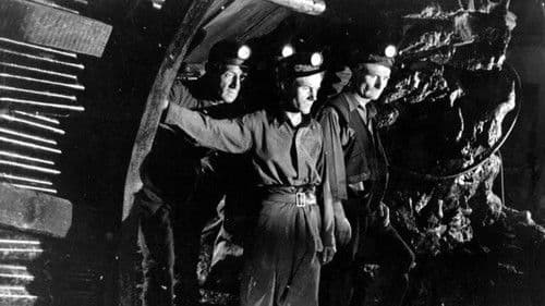 The Brave Don't Cry Bild 1