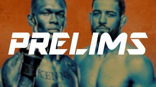 UFC Fight Night 250: Adesanya vs. Imavov Bild 2