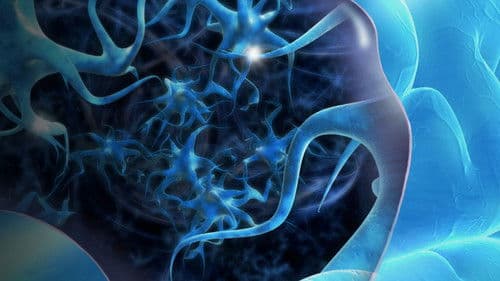 Asombrosamente Bild 4