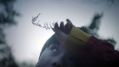 Warum ich euch nicht in die Augen schauen kann Bild 8