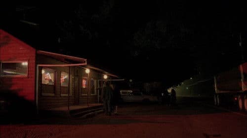 ツイン・ピークス・ビジュアル・サウンドトラック Bild 2