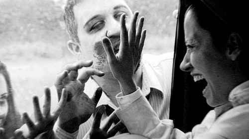 Zombies en el cañaveral: el documental Bild 1