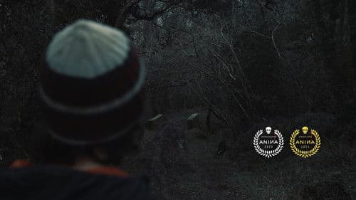 Into The Night Bild 1