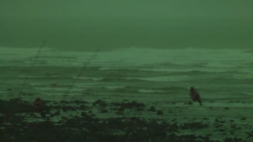 Eventide Bild 1