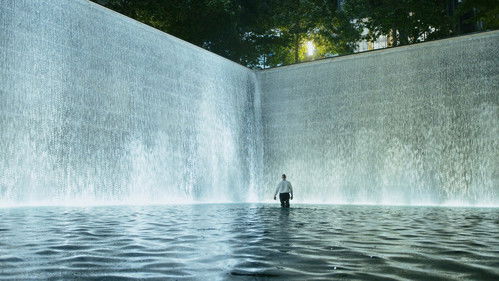 The Pool Cleaner Bild 1