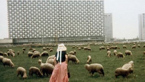 Liebe, so schön wie Liebe Bild 1